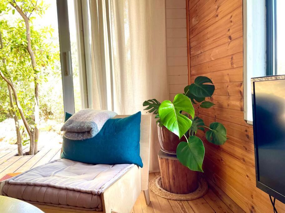 Solara Cabin Amirim Eksteriør bilde